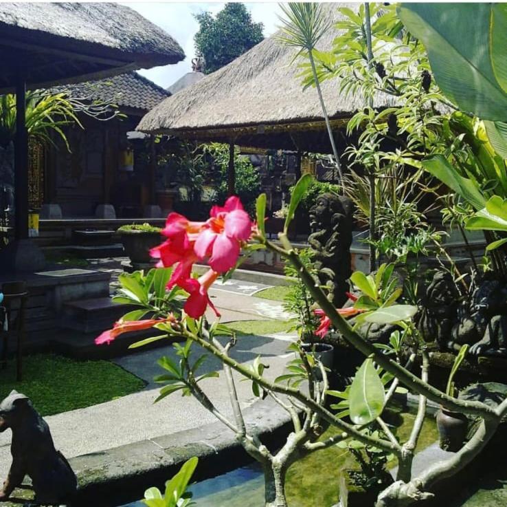 Family Guest House Убуд Екстер'єр фото